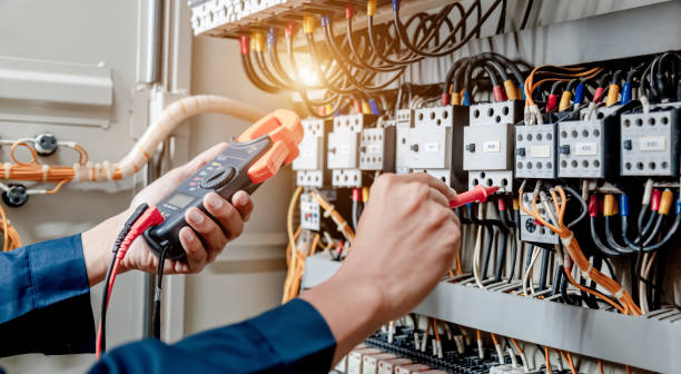 Best Electric Panel Repair  in Tinley Park, IL