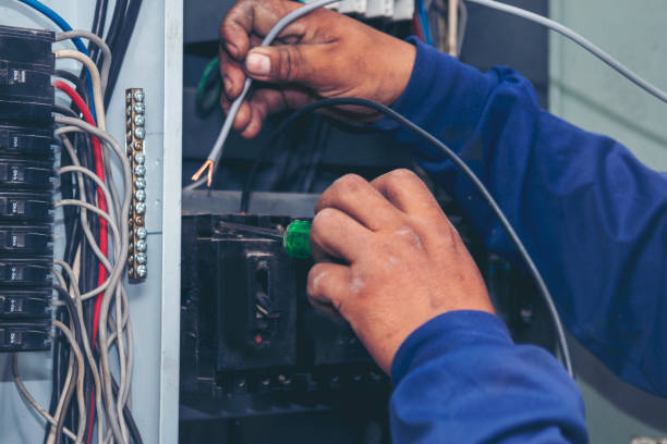 Best Electric Panel Repair  in Tinley Park, IL
